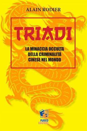 Cover of the book Triadi by Maria Patrizia Salatiello