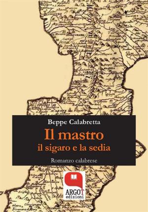 Cover of the book Il mastro, il sigaro e la sedia by Francesco Sinigaglia