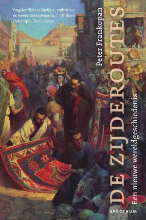 Cover of the book De zijderoutes by Dolf de Vries