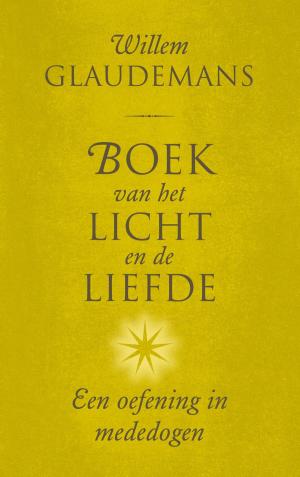 Cover of the book Boek van het licht en de liefde by Dave Baxter M.A.S.C.(Life Coach)