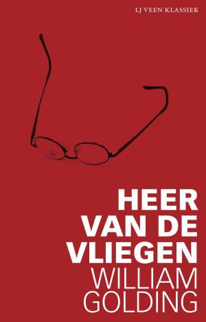 Cover of the book Heer van de vliegen by Adriaan van Dis