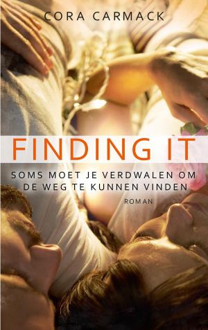 Cover of the book Finding it by L.J. Giebels