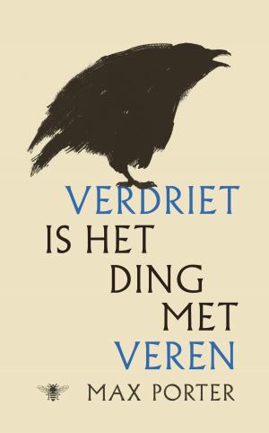 Cover of the book Verdriet is het ding met veren by Cees Nooteboom