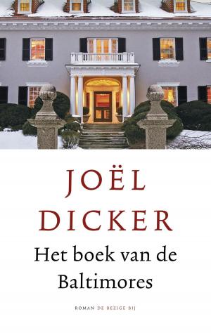 Cover of the book Het boek van de Baltimores by Dekker Daan