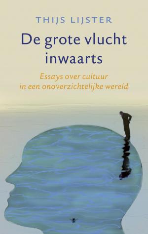 Cover of the book De grote vlucht inwaarts by Willem Frederik Hermans