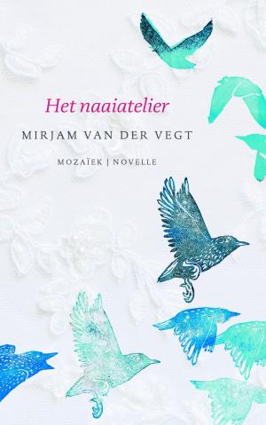 Cover of the book Het naaiatelier by Jozua Douglas