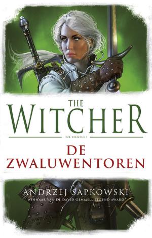 Cover of the book De Zwaluwentoren by Piers Torday