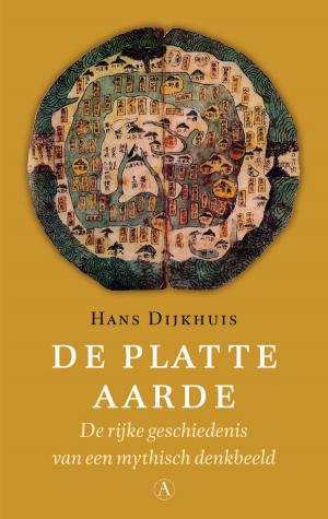 Cover of the book De platte aarde by Boudewijn Büch