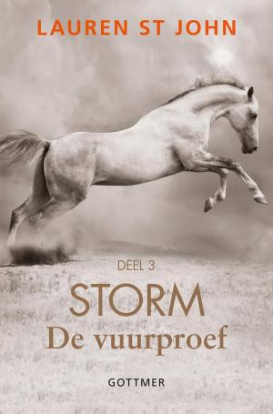 Book cover of De vuurproef