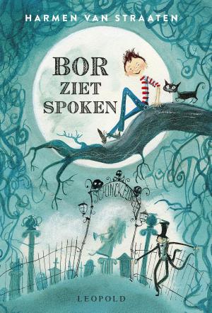 Cover of the book Bor ziet spoken by Brandon Mull, Shannon Hale