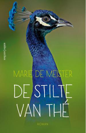 Cover of the book De stilte van Thé by Thomas MacGregor