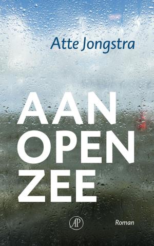 Cover of the book Aan open zee by Majgull Axelsson