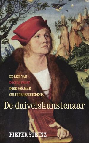 Book cover of De Duivelskunstenaar