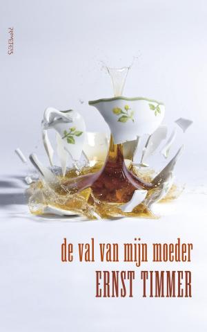 Cover of the book De val van mijn moeder by Saskia De Coster