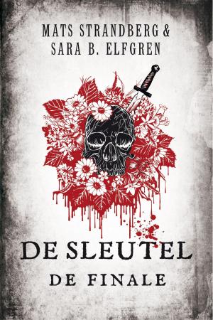 Cover of the book De sleutel - De finale by Mechtild Borrmann