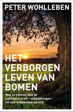 Cover of the book Het verborgen leven van bomen by Marshall Goldsmith, Pieter ter Kuile, Mark Reiter