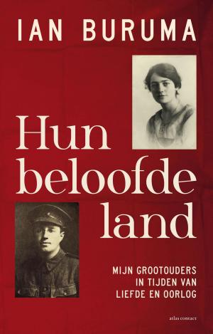 Cover of the book Hun beloofde land by Jonas Jonasson