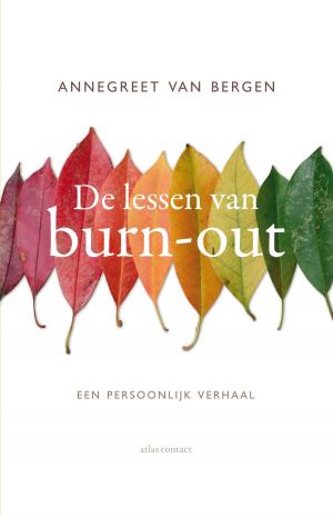 Cover of the book De lessen van burn-out by Jaap Goedegebuure, Oek de Jong