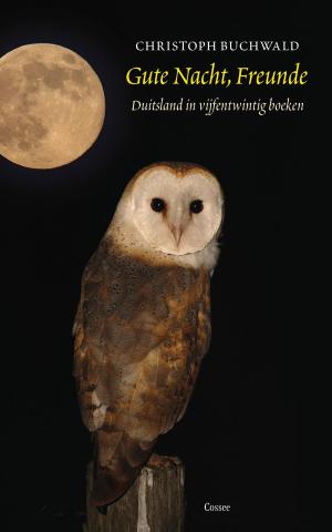Book cover of Gute Nacht, Freunde