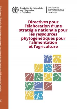 Book cover of Directives pour l'élaboration d'une stratégie nationale pour les ressources phytogénétiques pour l'alimentation et l'agriculture