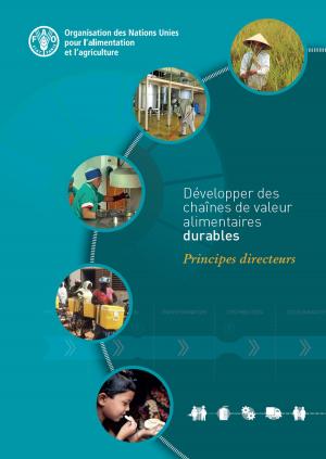 Cover of the book Développer des chaînes de valeur alimentaires durables: Principes directeurs by Food and Agriculture Organization of the United Nations