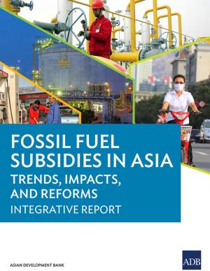bigCover of the book Fossil Fuel Subsidies in Asia by 