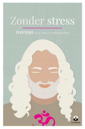 Cover of the book Zonder stress by Rian Visser