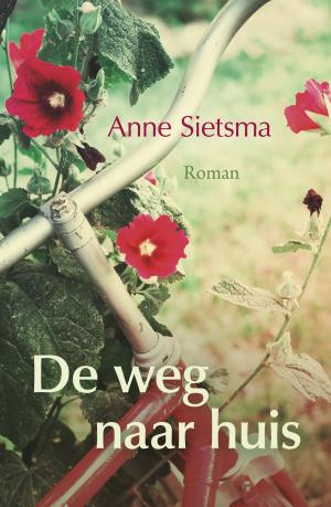 Cover of the book De weg naar huis by Evelien van Dort