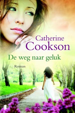 Cover of the book De weg naar geluk by Jennifer Weiner