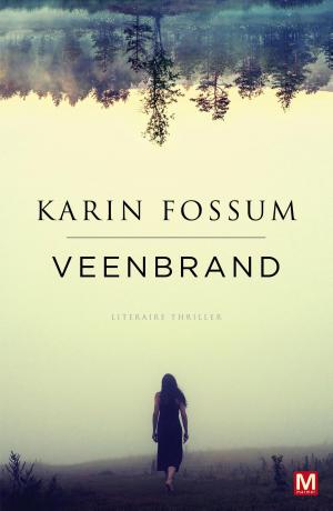Cover of the book Veenbrand by Linda van Rijn
