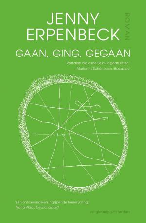 Cover of the book Gaan, ging, gegaan by Nancy  M Dick