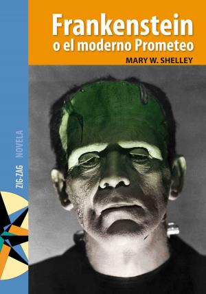 Cover of the book Frankenstein by Herman Melville