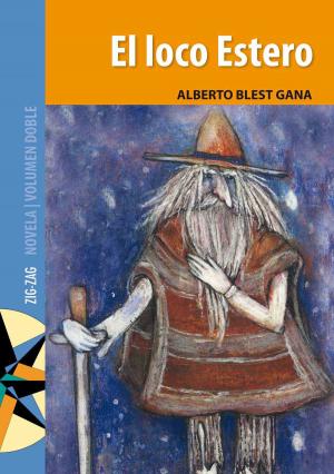 Cover of the book El Loco Estero by Manuel Gallegos