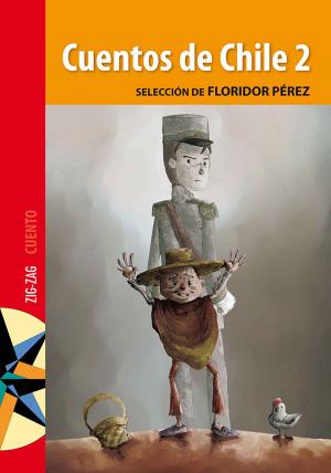 Cover of the book Cuentos de Chile 2 by Daniel Barros Grez