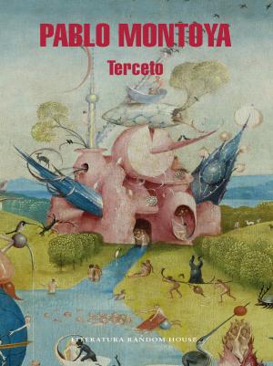 Cover of the book Terceto by Jaime Jaramillo