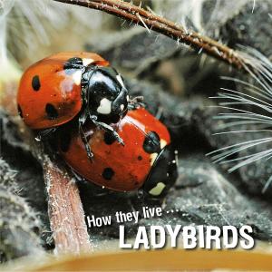 Cover of How they live... Ladybirds