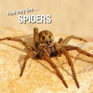 bigCover of the book How they live... Spiders by 