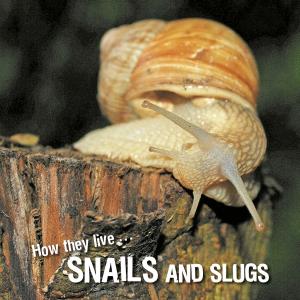 Cover of the book How they live... Snails and Slugs by Ivan Esenko