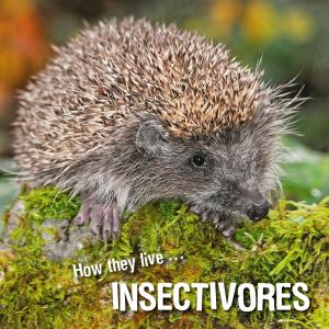 Cover of the book How they live... Insectivores by David Withrington, Ivan Esenko
