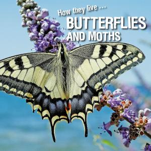 Book cover of How they live... Butterflies and Moths