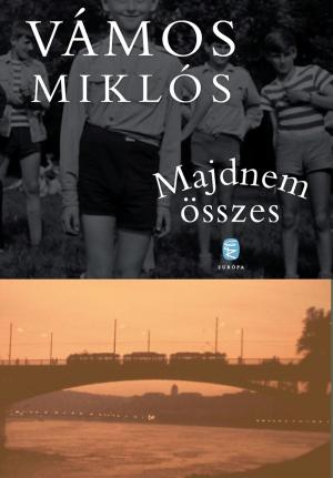 Cover of the book Majdnem összes by Háy János