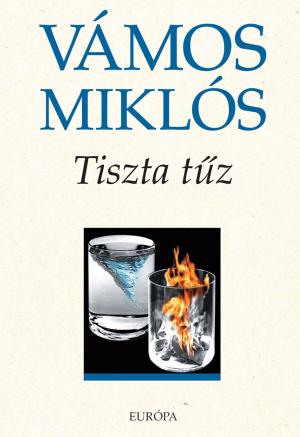 Cover of the book Tiszta tűz by Jeremy Dion