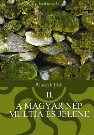 Book cover of A magyar nép múltja és jelene 2.