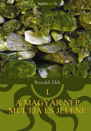 Cover of the book A magyar nép múltja és jelene 1. by Flax Perry