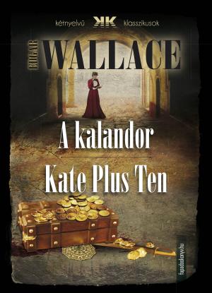 bigCover of the book A kalandor - Kate Plus Ten by 