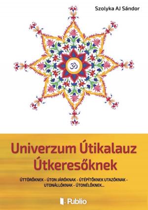 Cover of the book Univerzum Útikalauz Útkeresőknek by Brátán Erzsébet