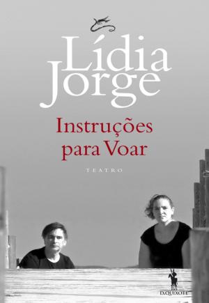 Cover of the book Instruções para Voar by Lídia Jorge