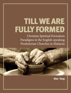Cover of the book Till We Are Fully Formed by Daniel Tong