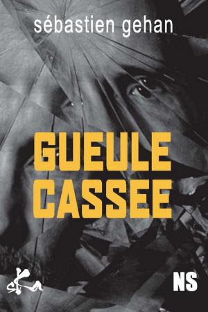 Cover of the book Gueule cassée by Damien Ruzé