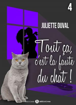 Cover of the book Tout ça, c’est la faute du chat ! - 4 by Amber James